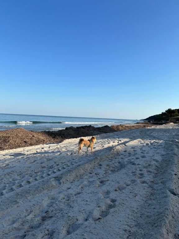 Image of Plage des Salins Parc des Salins St Tropez
