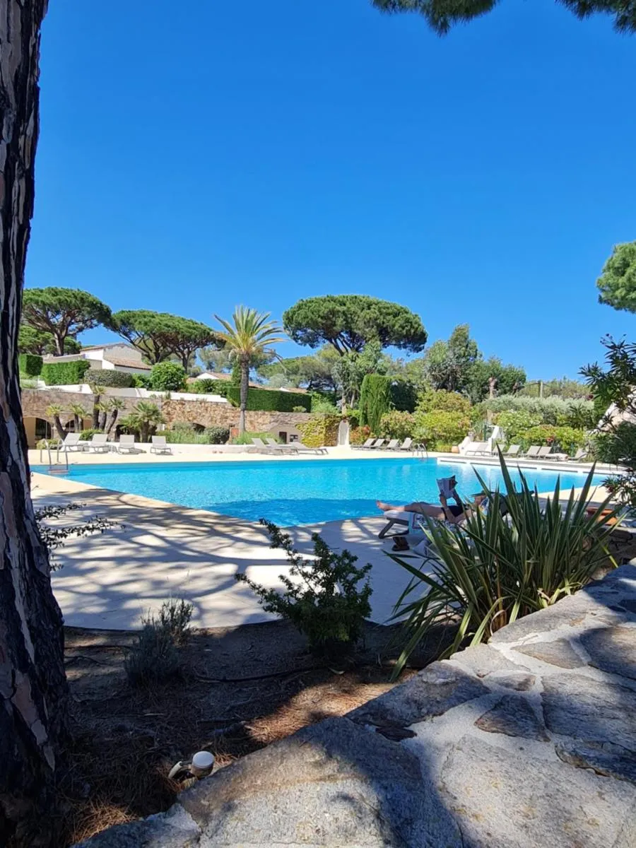Image 1 of Appartement luxueux à 100m de la plage