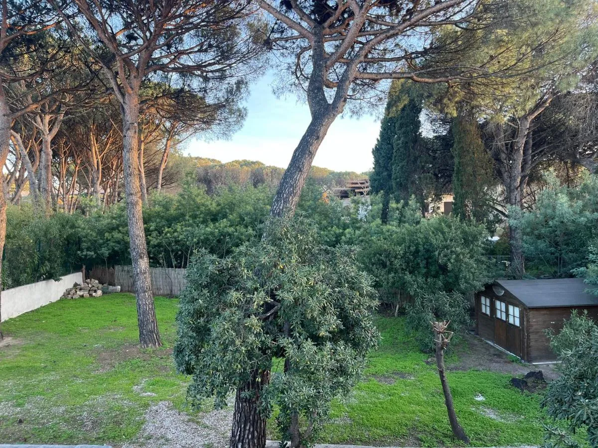 Image 6 of Bastide de la Pinède