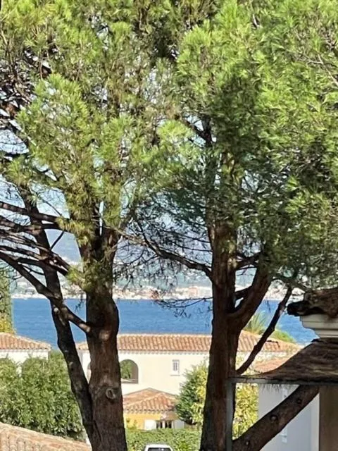 Image 3 of CASA RAMA ST Tropez