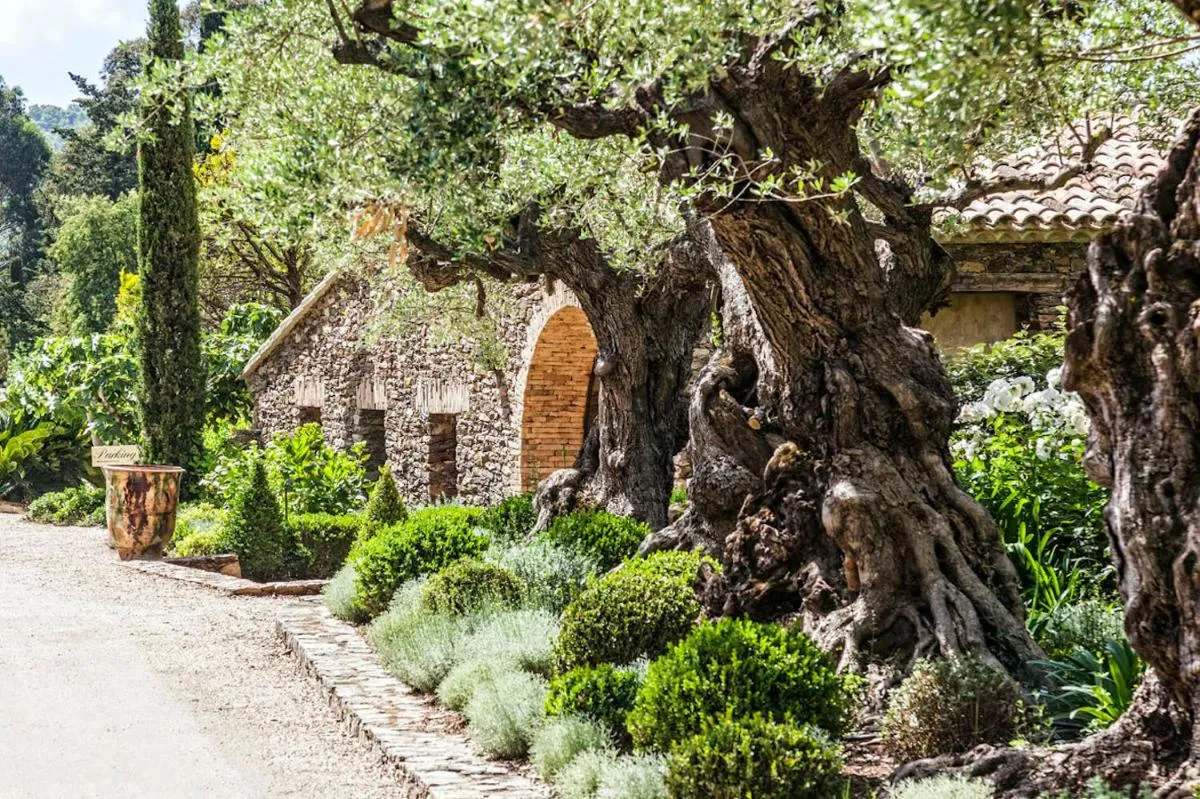 Image 4 of Domaine Les Mésanges