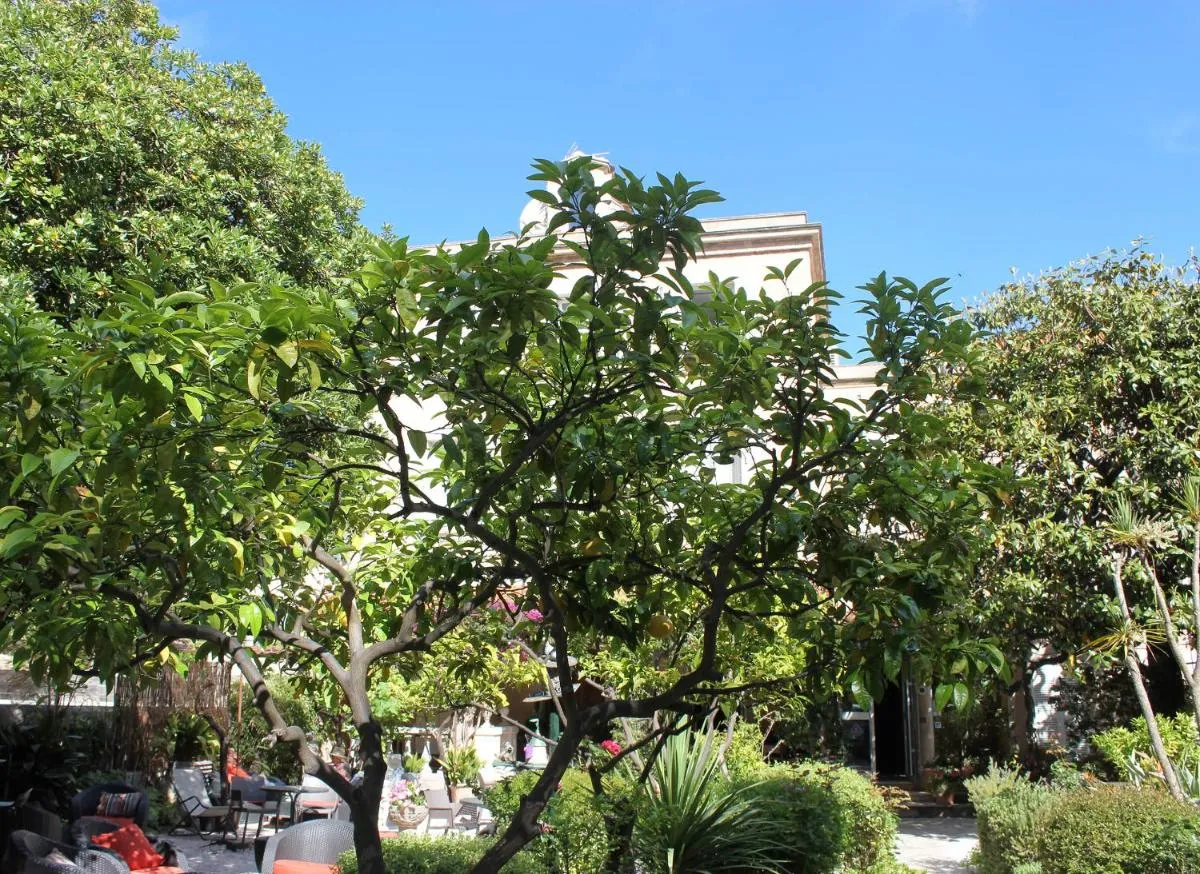 Image 4 of Hôtel Les Palmiers