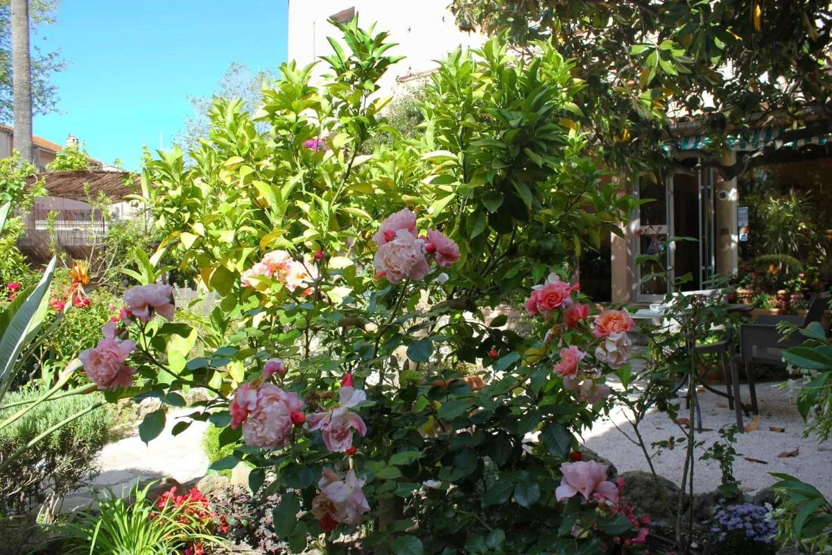 Image 5 of Hôtel Les Palmiers