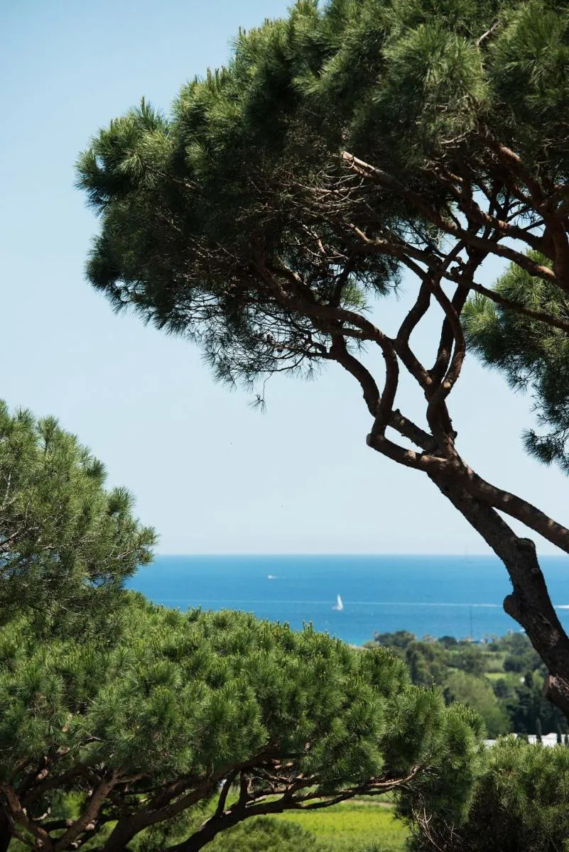 Image 3 of Hôtel Villa Marie Saint Tropez