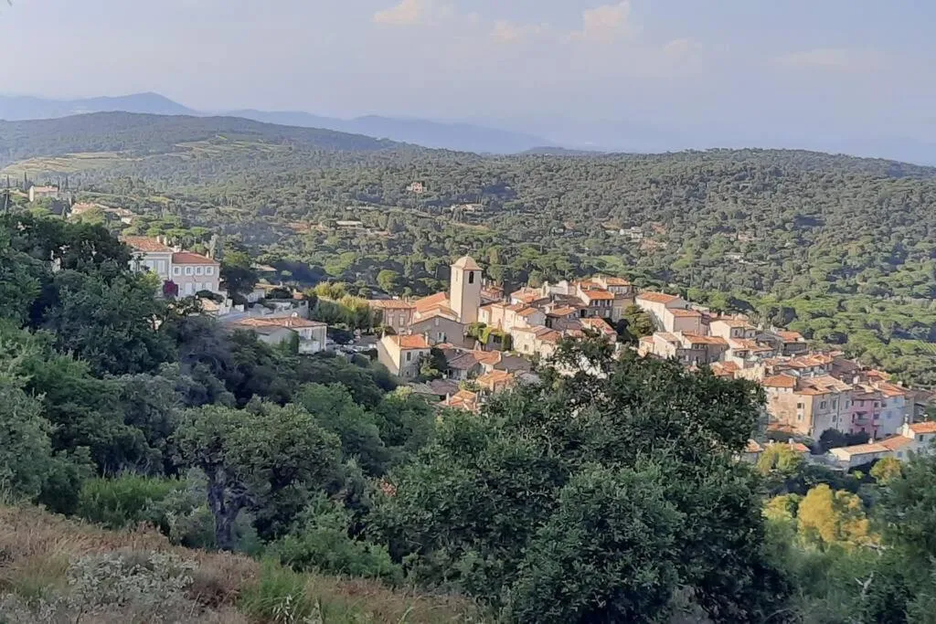 Image 6 of LES VIGNES ET LA PINEDE PRES DE LA PLAGE