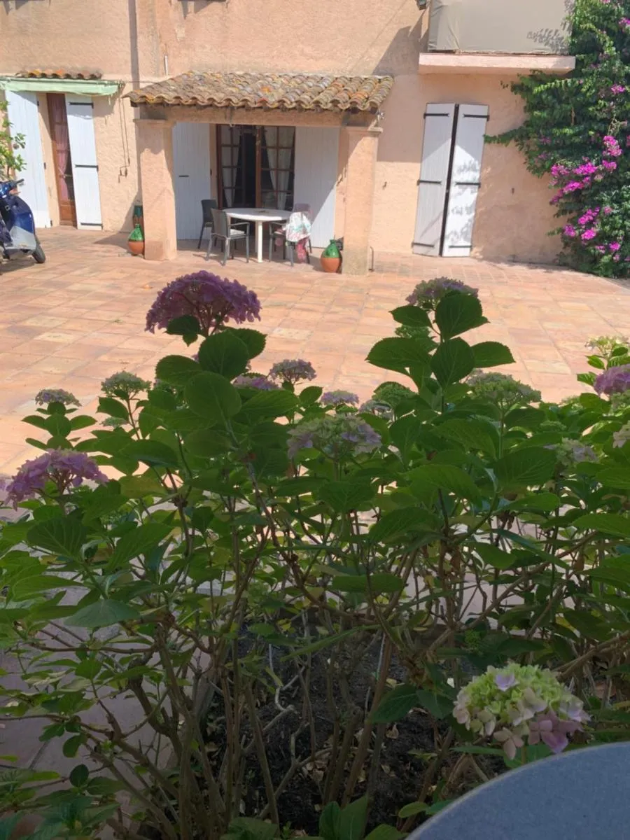Image 4 of La maison de Suzy