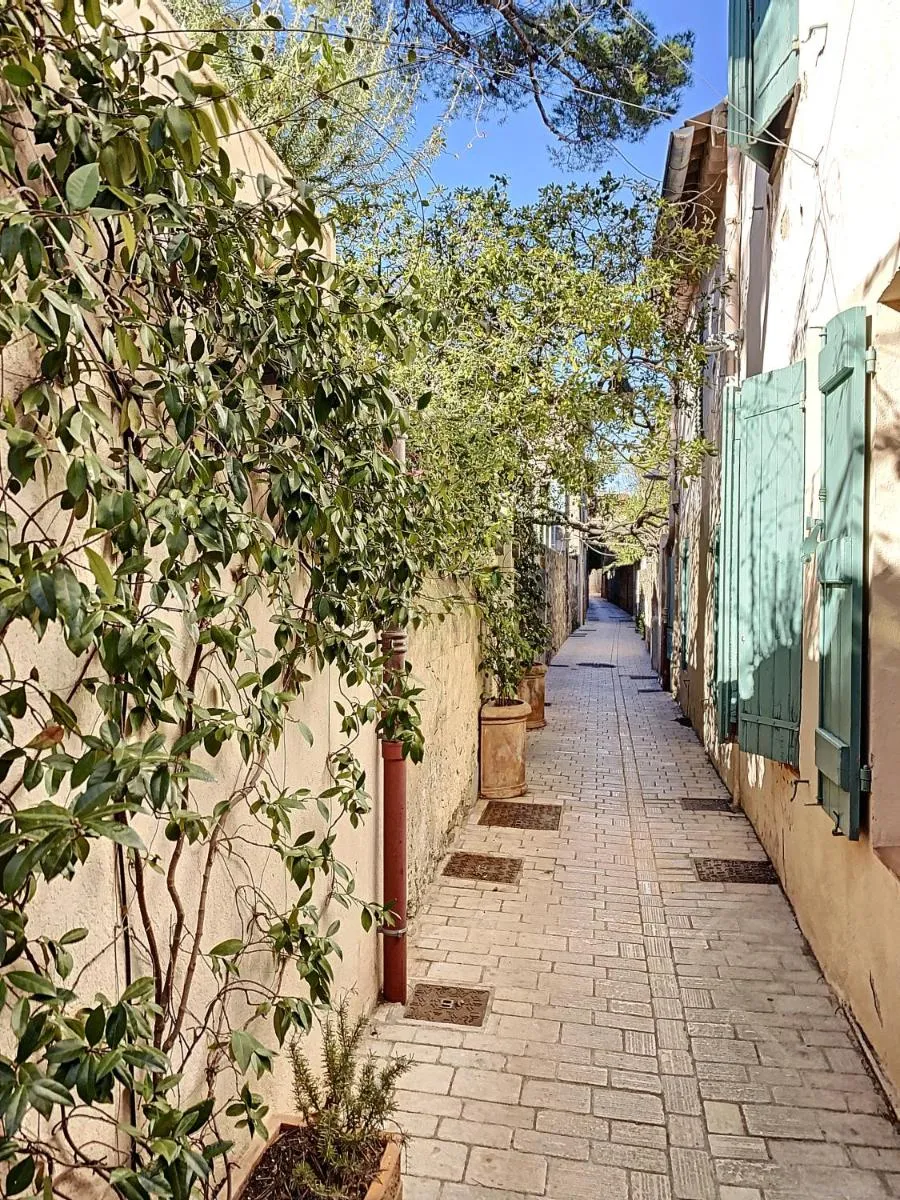Image 5 of Le Papillon de Saint-Tropez