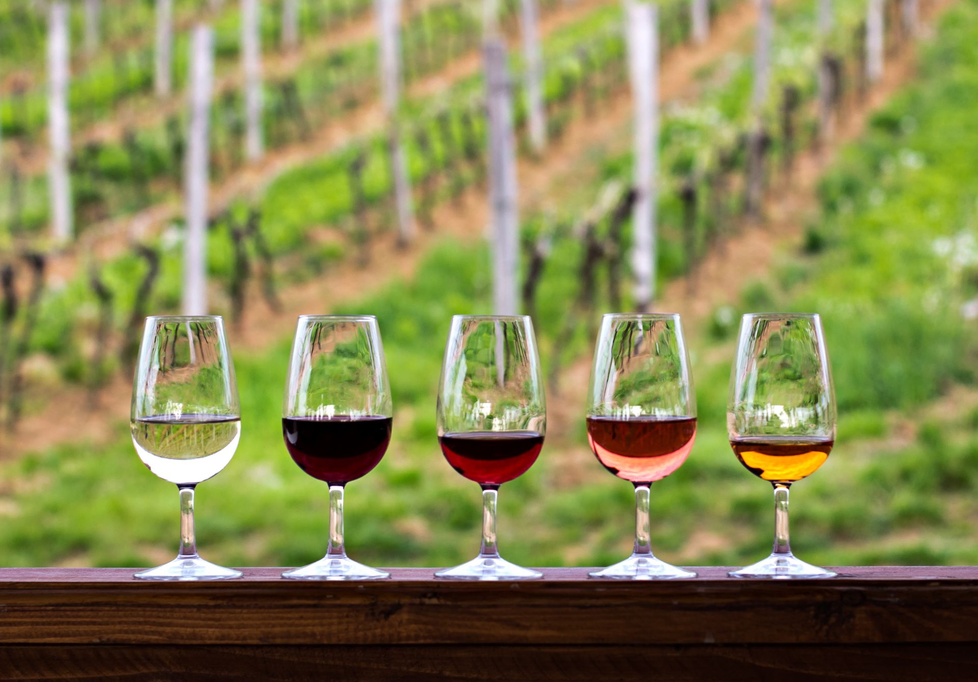 Wine Tasting